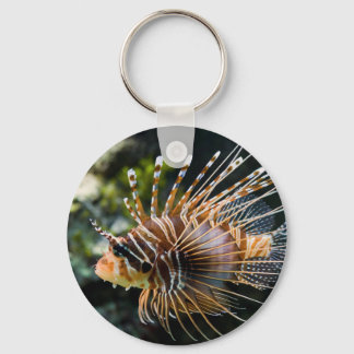 Pterois Antennata Broadbarred Firefish Lionfish Keychain