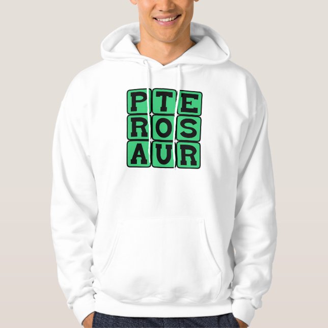 Pterosaur, Flying Dinosaur Hoodie (Front)