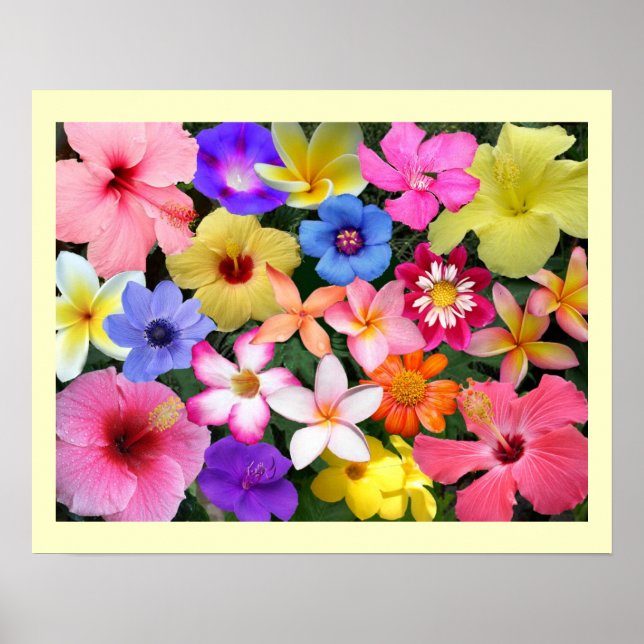 PTropical Flowers Poster (Front)