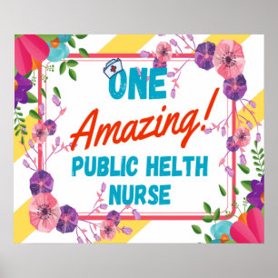 Public Health Nurse Appreciation Gift Idea Poster