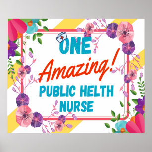 Public Health Nurse Appreciation Gift Idea Poster