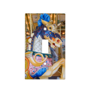 Public Museum of Grand Rapids Light Switch Cover