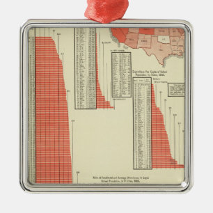 Public schools metal ornament
