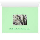 Pucci Strikes a pose, Nuts In Forest Hills (Inside Horizontal (Bottom))