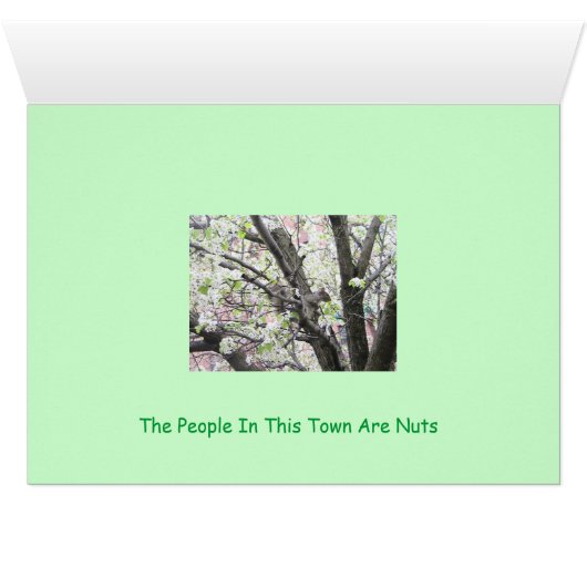 Pucci Strikes a pose, Nuts In Forest Hills (Inside Horizontal (Bottom))