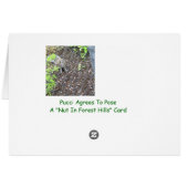 Pucci Strikes a pose, Nuts In Forest Hills Cards (Back Horizontal)