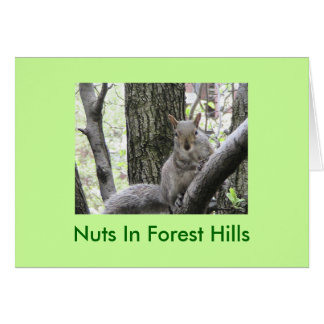 Pucci Strikes a pose, Nuts In Forest Hills Cards
