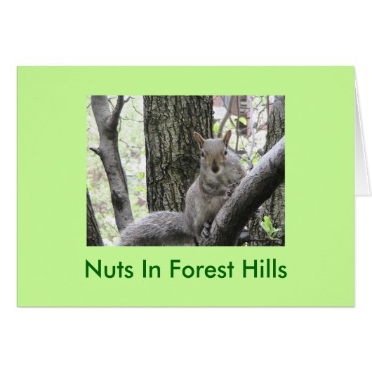 Pucci Strikes a pose, Nuts In Forest Hills Cards (Front Horizontal)