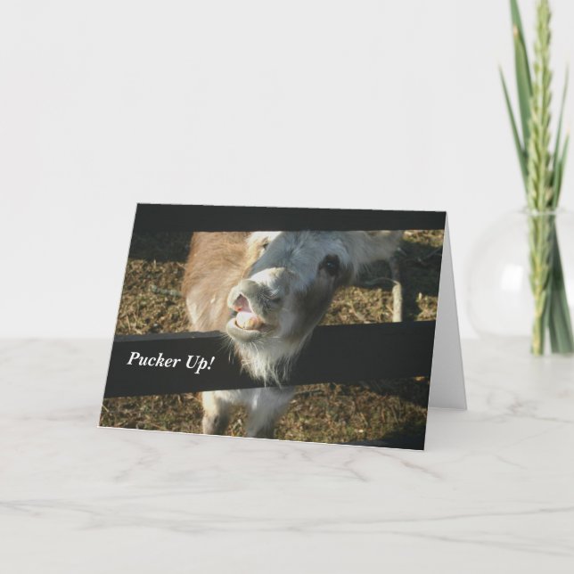 Pucker Up! Holiday Card (Front)