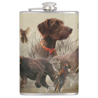 Pudelpointers, Hunting pheasant