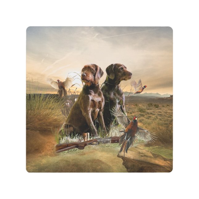 Pudelpointers, Hunting pheasant      Metal Print (Front)