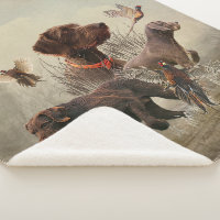 Pudelpointers, Hunting pheasant   