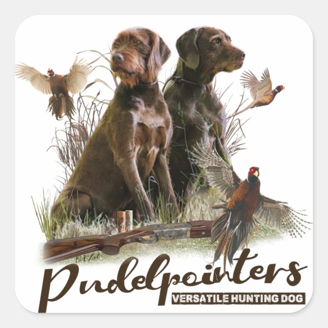 Pudelpointers, Hunting pheasant  Square Sticker (Front)