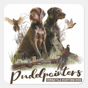 Pudelpointers, Hunting pheasant Square Sticker