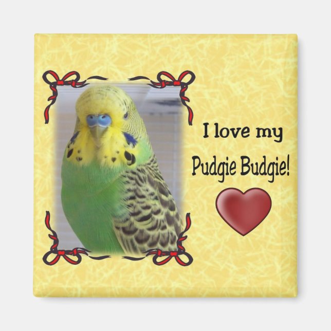 Pudgie Budgie 3 Magnet (Front)