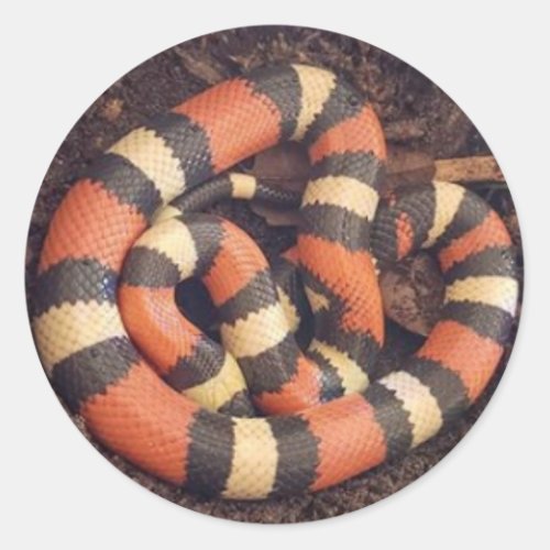 Pueblan Milk Snake Classic Round Sticker