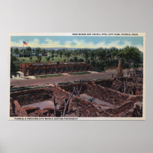 Pueblo, Colorado - Bird House & Animal Poster