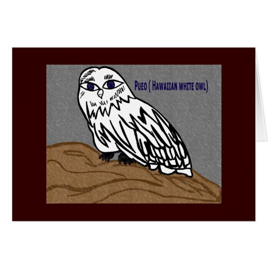 Pueo hawaiian white owl (Front Horizontal)
