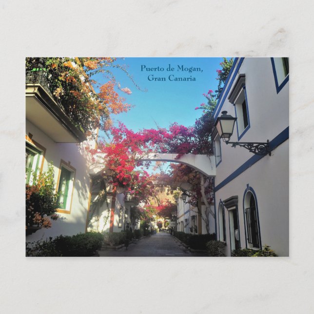 Puerto de Mogan, Gran Canaria, Postcard (Front)