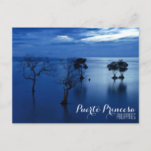 Puerto Princesa, Palawan, Philippines Postcard