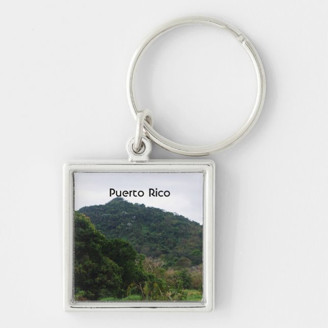 Puerto Rican Rainforest Keychain (Front)