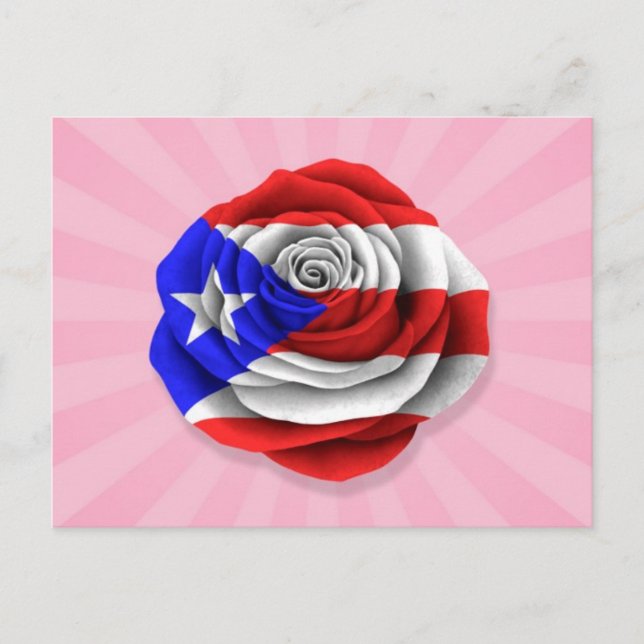Puerto Rican Rose Flag on Pink Postcard (Front)