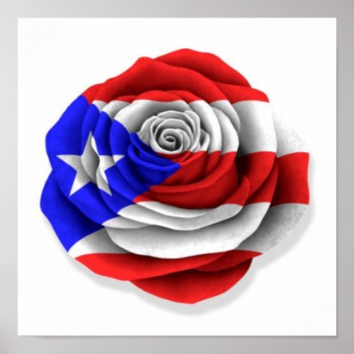 Puerto Rican Rose Flag on White Poster