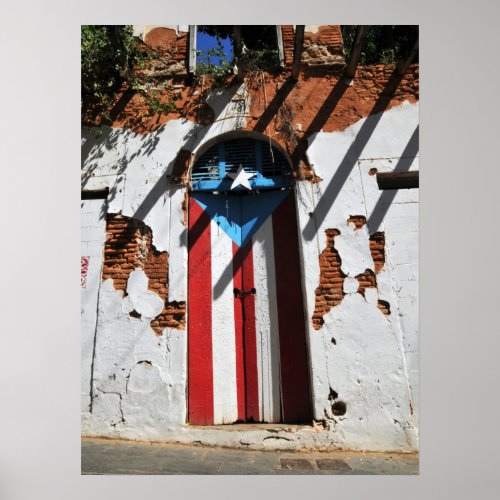 Puerto rico  color flag poster