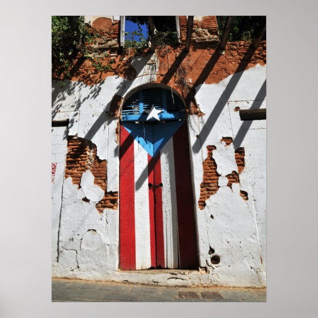 Puerto rico  color flag poster (Front)