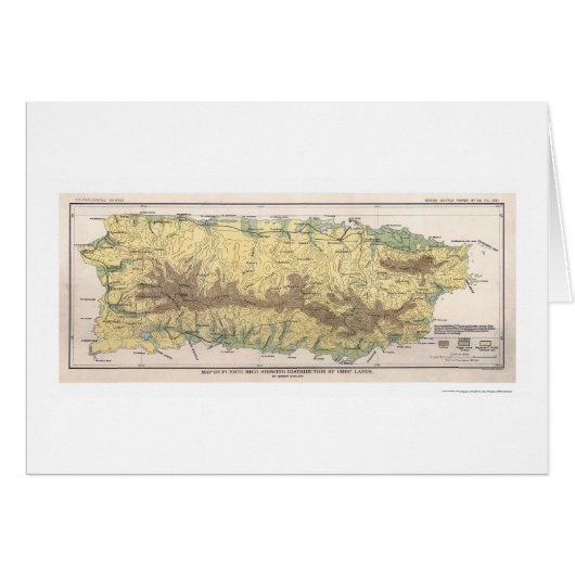 Puerto Rico Crop Map 1899 Cards (Front Horizontal)