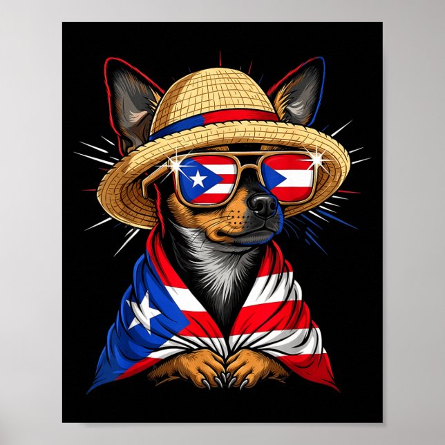 Puerto Rico Flag Boricua Puerto Rican Flag  Poster (Front)