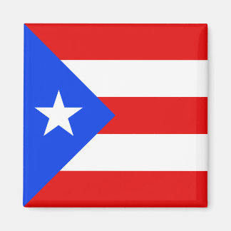 Puerto Rico Flag Magnet