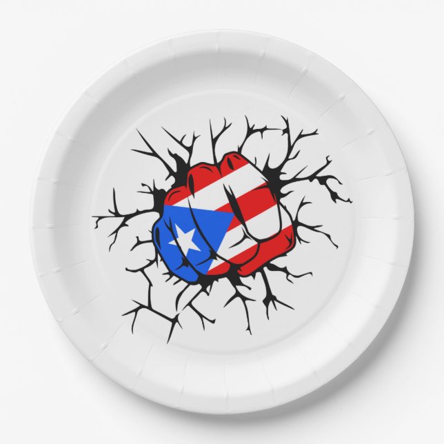 Puerto Rico Flag Paper Plates (Front)