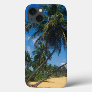 Puerto Rico, Isla Verde, palm trees iPhone 13 Case