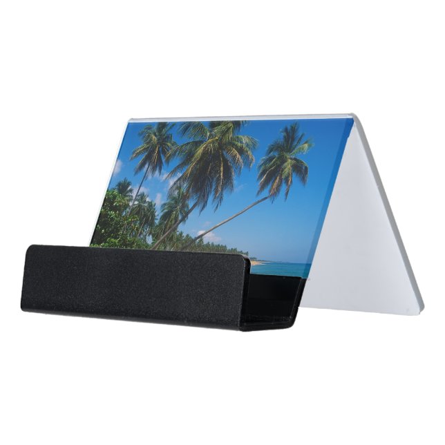 Puerto Rico, Isla Verde, palm trees Desk Business Card Holder (Angled Front)
