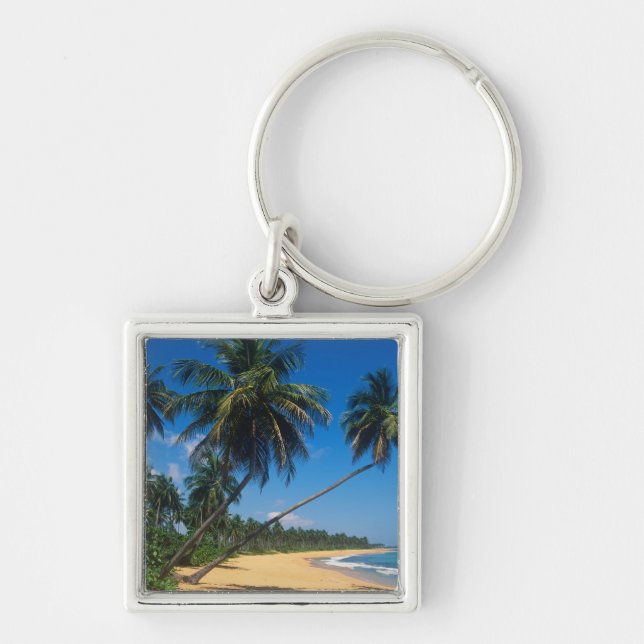 Puerto Rico, Isla Verde, palm trees. Keychain (Front)