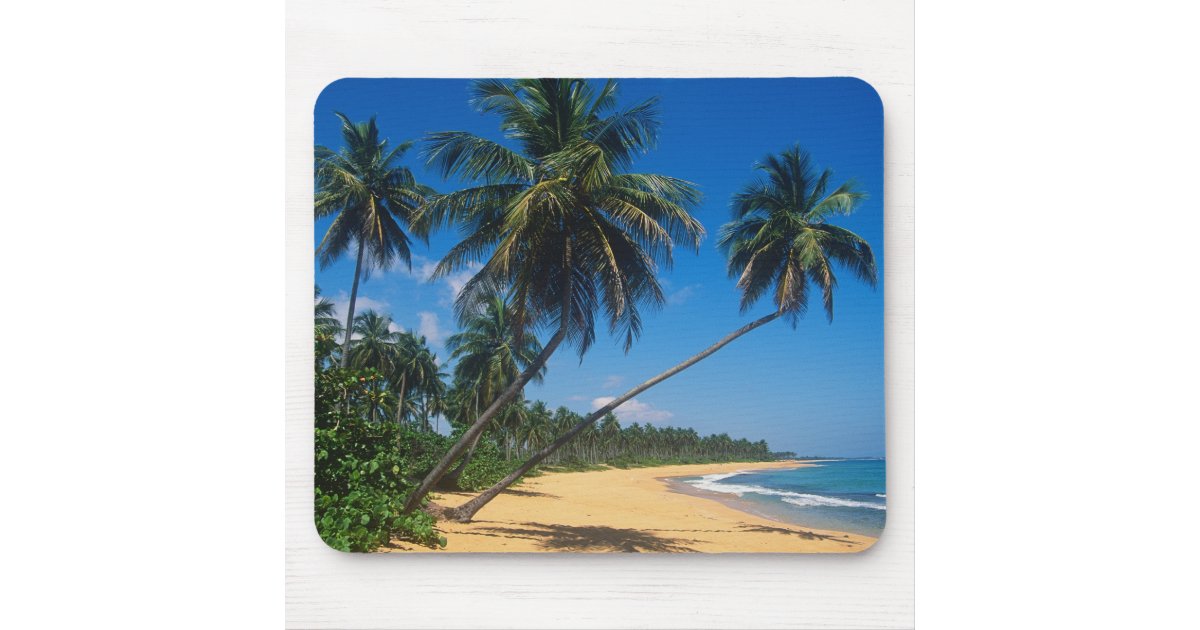 Puerto Rico, Isla Verde, palm trees. Mouse Pad | Zazzle