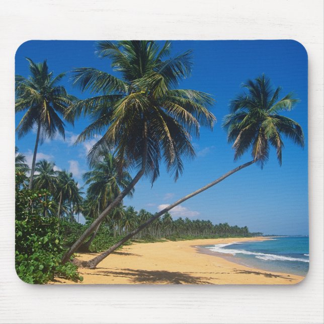 Puerto Rico, Isla Verde, palm trees. Mouse Pad (Front)