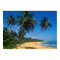 Puerto Rico, Isla Verde, palm trees.