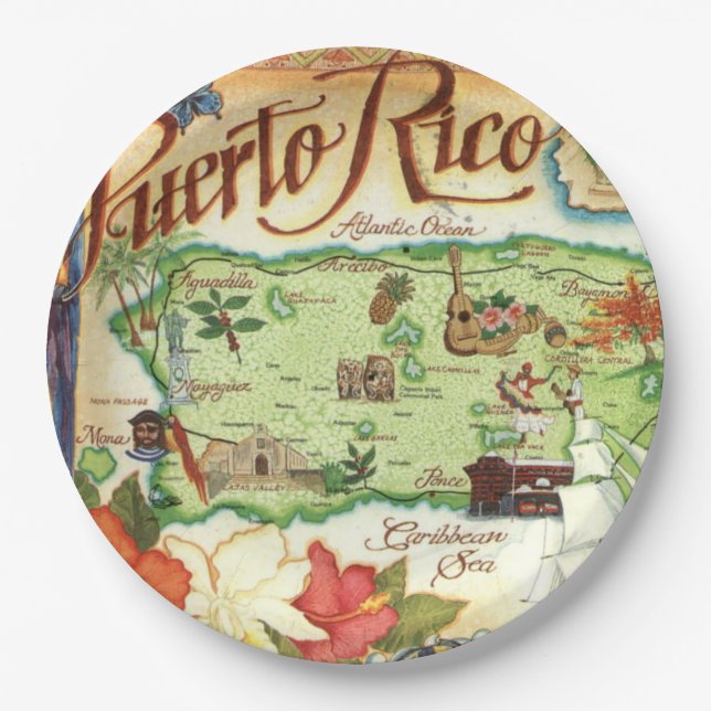 Puerto Rico Map  Paper Plates (Front)