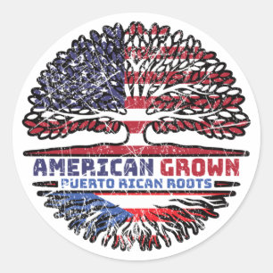 Puerto Rico Puerto Rican US American USA United Classic Round Sticker