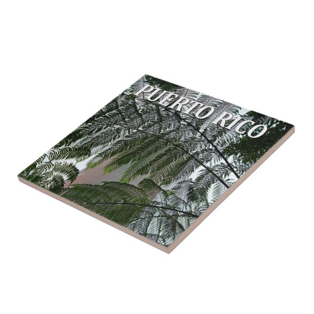 Puerto Rico Rainforest Tower Photo Souvenir Ceramic Tile (Side)