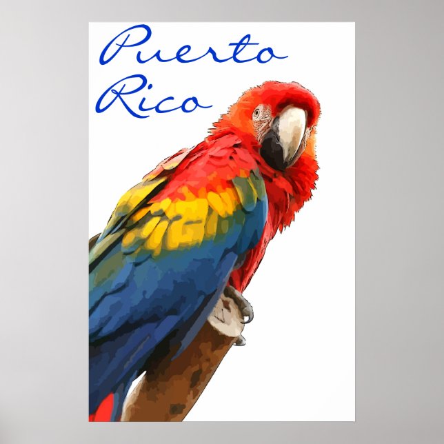 Puerto Rico Scarlet Macaw Poster (Front)