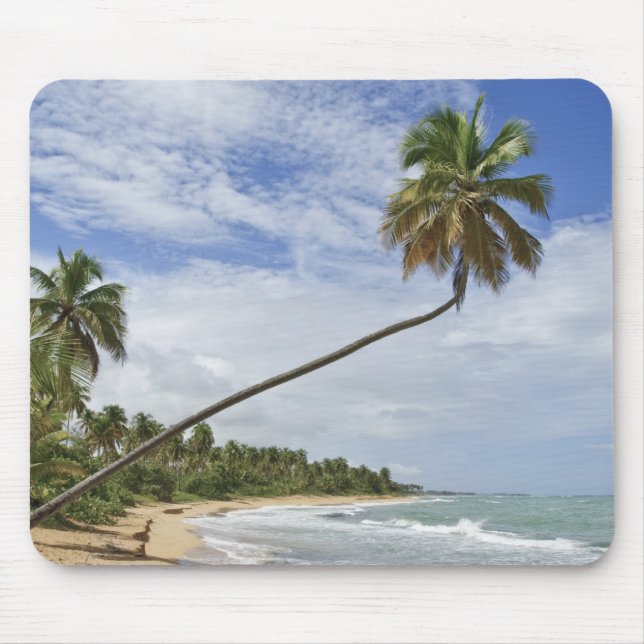 Puerto Rico. Tres Palmitas Beach Puerto Rico Mouse Pad (Front)