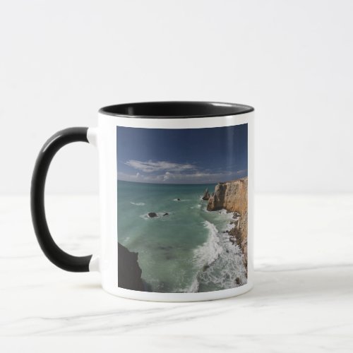 Puerto Rico West Coast Cabo Rojo coastline 2 Mug