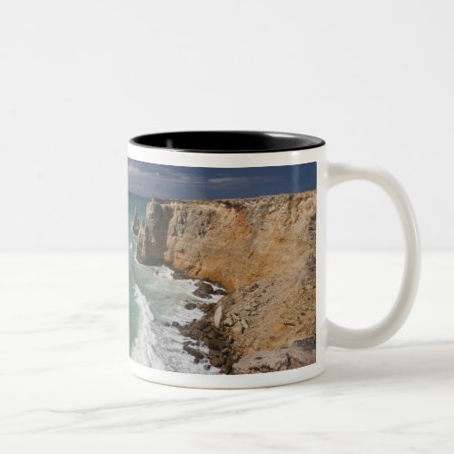 Puerto Rico West Coast Cabo Rojo coastline 2 Two_Tone Coffee Mug