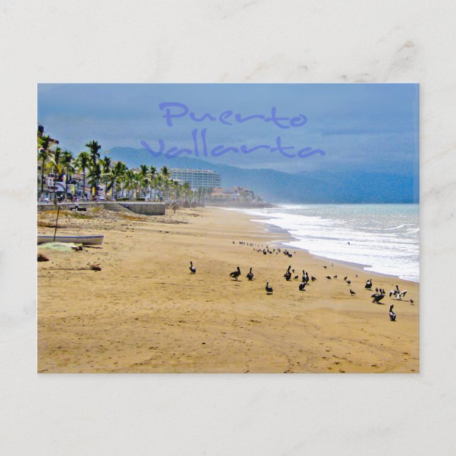 Puerto Vallarta 2 Postcard (Front)