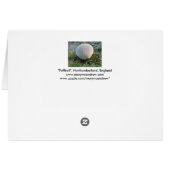"Puffball" Cards (Back Horizontal)