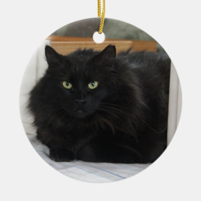 Puffball Ceramic Ornament (Front)