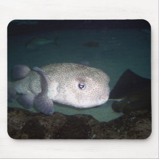Puffer fish mousepad
